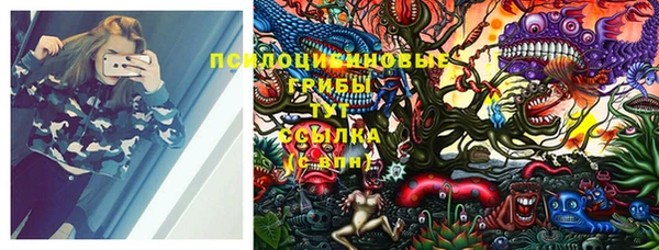 прущий лед Переславль-Залесский