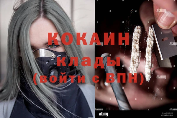 тгк Пересвет