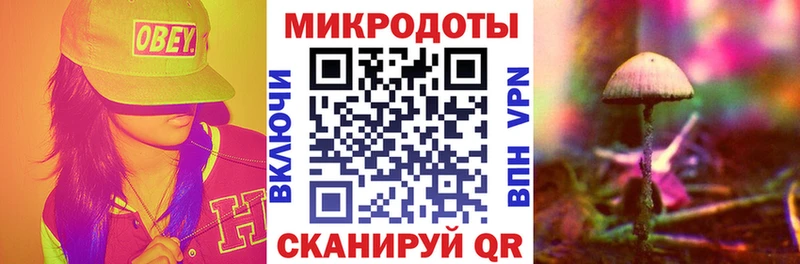 Псилоцибиновые грибы мухоморы  гидра вход  Менделеевск  как найти  