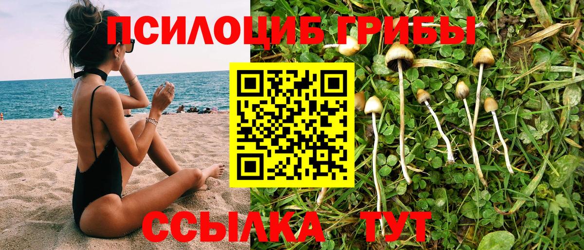 Псилоцибиновые грибы GOLDEN TEACHER  Вход с VPN  где найти наркотики  Псилоцибиновые грибы Magic Shrooms  Менделеевск 